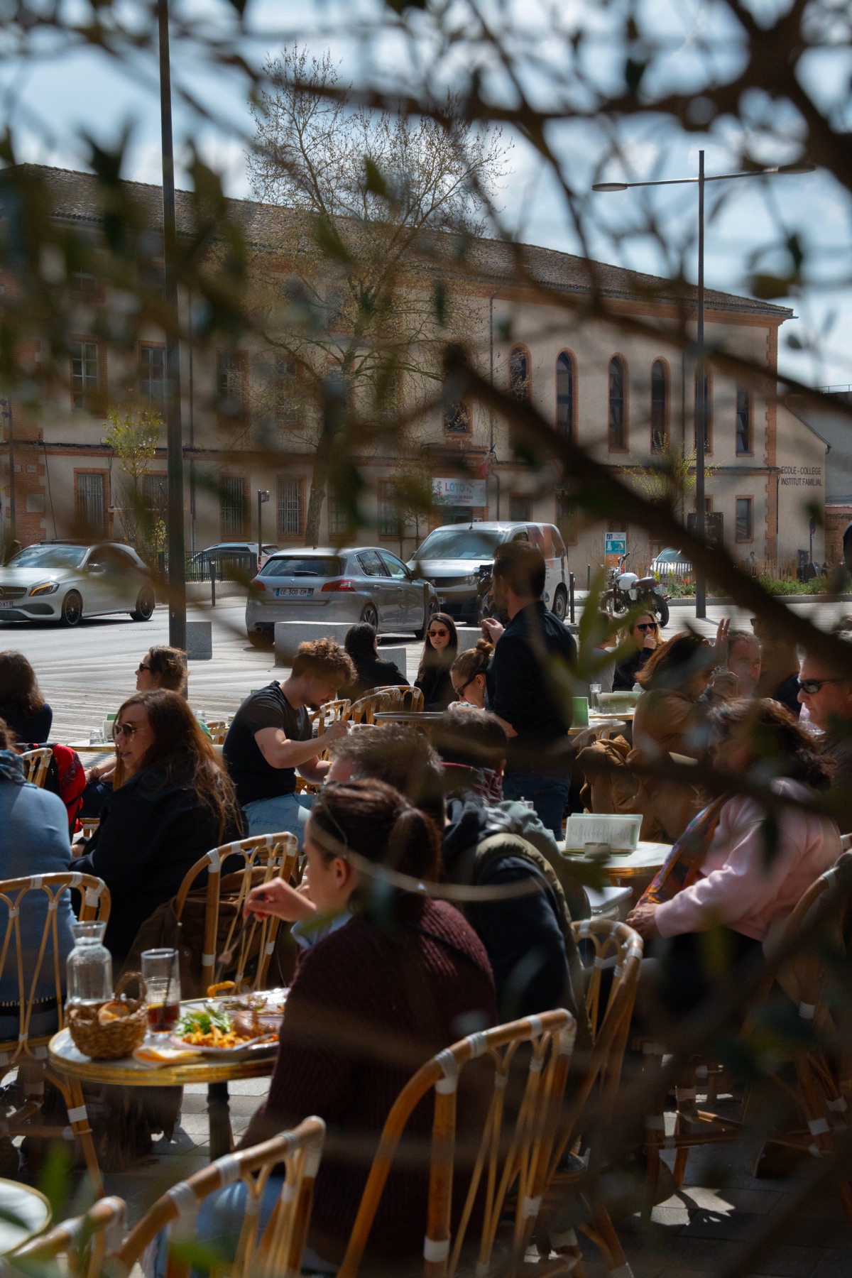 La terrasse à travers les branches