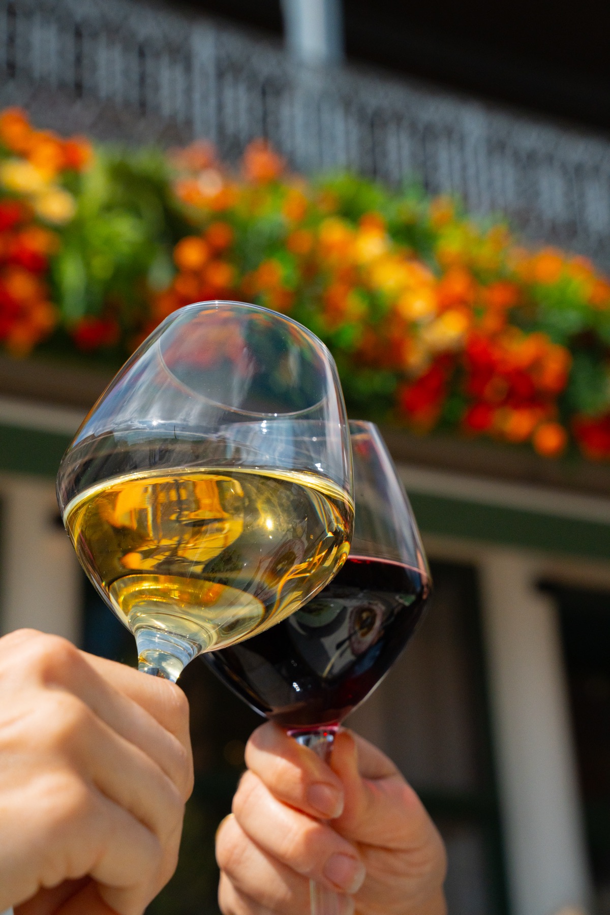 Verres de vin levés sous la cascade de fleurs orange du Gabriel